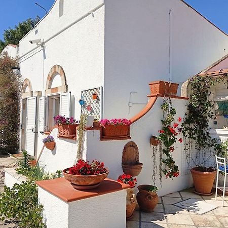 B&B Le Vele Maruggio Extérieur photo
